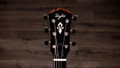 Taylor Gold Label 514e Electro Acoustic Guitar - Taylor-Gold-Label-514e-1204185095-gallery-16-2025.jpg