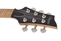 Schecter C-1 Standard Plus Electric Guitar in Trans Black Burst - 9LzoR8KSiZhO-s.jpg
