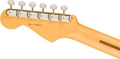 Fender American Professional Classic Stratocaster in Faded Firemist Gold - 0114942384_fen_ins_hbk_1_nr.jpg