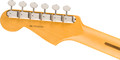 Fender American Professional Classic Stratocaster HSS in Faded Black - 0114952322_fen_ins_hbk_1_nr.jpg