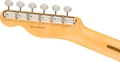 Fender American Professional Classic Telecaster in 3-Colour Sunburst - 0114960300_fen_ins_hbk_1_nr.jpg