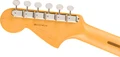 Fender American Professional Classic Jaguar in 3-Colour Sunburst - 0114990300_fen_ins_hbk_1_nr.jpg