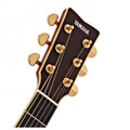 Yamaha LS-TA TransAcoustic in Brown Sunburst - LSTABS 5.jpg