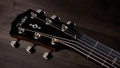 Taylor Next Generation 314ce Grand Auditorium Cutaway Electro Acoustic Guitar - Taylor-314ce-1208275085-(2026 Spec)-gallery-09-2025.jpg