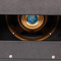 Victory MK 112 Open-Back Speaker Cabinet in Black with Celestion Alnico Gold Speaker - MK112-CG30-BK-SS-BK-Speaker.jpg