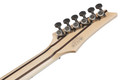 Ibanez RGR5221R-TFR Prestige Electric Guitar in Transparent Fluorescent Orange - RGR5221R_TFR_00_01_K.jpg