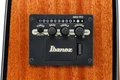 Ibanez AAD51CE-NT Electro Acoustic Guitar in Natural High Gloss - AAD51CE_NT_2Y_01_L.jpg
