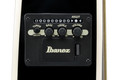 Ibanez TCY10PA-BKB Talman Electro Acoustic Guitar in Transparent Brown Black Burst High Gloss - TCY10PA_BKB_2Y_01_L.jpg