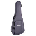 Martin Road Series DC-13E Modern Electro Acoustic Guitar  - 11DC13EMOD_Case.jpg