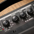 Roland CUBE Street Mini Multi-Instrument Battery Amp - CUBE-ST-MI-Controls.jpg