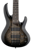 ESP LTD B-205DX 5-String Bass Guitar in Black Burst - B-205DX_BLKB_FRONT-hero_compressed.jpg