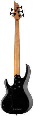 ESP LTD B-205DX 5-String Bass Guitar in Black Burst - B-205DX_BLKB_BACK_compressed.jpg