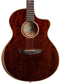 Faith FX Series FNCEDNG Neptune Cutaway Electro Acoustic in Dark Natural Gold - FNCEDNG---Front-M cropped.jpg