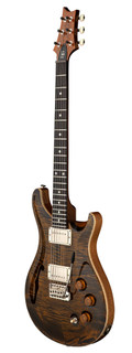 PRS DGT Semi-Hollow 10-Top David Grissom Signature Electric Guitar in Tiger Eye with Bird Inlays - DGT Semi-Hollow Moons Tiger Eye_3quarter.jpg