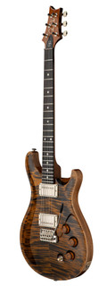 PRS DGT 10-Top David Grissom Signature Electric Guitar in Tiger Eye with Bird Inlays - 112796TE-Angle.jpg