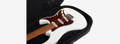 Sire Gig Bag for L Series Electric Guitar - GIGBAGIV_4b9378f7-8b11-4047-a6b5-96b123fe74e6.jpg