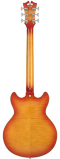 D’Angelico Premier Mini DC XT Semi-Hollow Electric Guitar in Honey Burst - DAPMDCXTHNBNS-WR.jpg