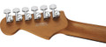 Charvel Pro-Mod Plus DK24 HH 2PT EB Electric Guitar in Celestial Silk - 2972811576-Headstock-Back.jpg