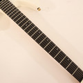 B Stock : Divitone DSG-10AO Smart Electric Guitar With On-board Effects in Arctic Ore 001 - B-DSG-10AO-0001 (10).jpg