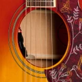 Epiphone Inspired by Gibson Hummingbird Standard EC Electro Acoustic Guitar in Cherry Sunburst - EIAHBCCSGH1_Soundhole-1200x1200-28e5ebb.jpg