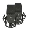 sE Electronics SE4400a Matched Stereo Pair - 530877-1660214649612.jpg