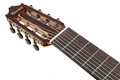 Ibanez GA3008CE-NT GA Series Classical 8-String Electro Acoustic in Natural - GA3008CE_NT_47_01_J.jpg