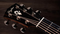 Taylor Gold Label 512e Electro Acoustic Guitar in Natural - Taylor-Gold-Label-512e-1208045081-gallery-09-2025.jpg