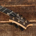 PRS Custom 24 Floyd Electric Guitar in Aurora Borealis - 0421072 (15).JPG