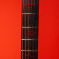 Jackson X Series Diablo IV Kelly Electric Guitar with Mephisto Graphic - 2919988539-Inlays.jpg