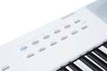 Kurzweil KAE1-LB Stage Piano - White - KAE1-WH (7).jpg