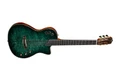 Cordoba Fusion Stage Artist Nylon Electro Acoustic in Agave Burst - jpeg (25).jpg