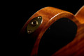 Cordoba Fusion Stage Artist Nylon Electro Acoustic in Habano Burst - jpeg (43).jpg