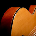 Cordoba Fusion Stage Artist Nylon Electro Acoustic in Traditional - jpeg (49).jpg