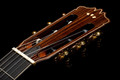 Cordoba Fusion Stage Artist Nylon Electro Acoustic in Traditional - jpeg (53).jpg