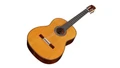 Cordoba Luthier C10 Classical Acoustic Guitar in Cedar - CLUC10CD-5.jpg
