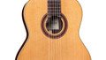 Cordoba Iberia F7 Paco Flamenco Acoustic Guitar - CIBF7PC-5.jpg