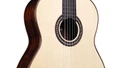 Cordoba Luthier C10 Crossover Acoustic Guitar in Spruce - CLUC10SPX-4.jpg