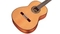 Cordoba Luthier C9 Classical Acoustic Guitar in Cedar - CLUC9CD-3.jpg