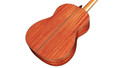 Cordoba Luthier C9 Crossover Acoustic Guitar in Cedar - CLUC9CDX-6.jpg