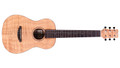 Cordoba Mini II FMH Travel Acoustic Guitar in Flamed Mahogany - CMIIIFMFM-2.jpg
