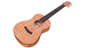 Cordoba Mini II FMH Travel Acoustic Guitar in Flamed Mahogany - CMIIIFMFM-4.jpg