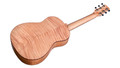 Cordoba Mini II FMH Travel Acoustic Guitar in Flamed Mahogany - CMIIIFMFM-6.jpg