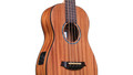 Cordoba Mini II Bass MH-E Electro Acoustic Bass Guitar in Mahogany - jpeg - 2026-04-28T100226.239.jpg