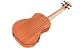 Cordoba Mini II Bass MH-E Electro Acoustic Bass Guitar in Mahogany - jpeg - 2026-04-28T100221.427.jpg