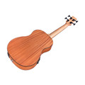 Cordoba Mini II Bass MH-E Electro Acoustic Bass Guitar in Natural Mahogany - CMIIIMHE-Full-Back-Angle.jpg