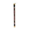 Meinl Sonic Energy Rainstick Bamboo Medium - RS1M.jpg