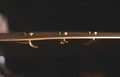 Meinl Sizzle Rivets Brass - CY-RIVET-BR (2).jpg
