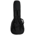 Epiphone Futura ES-355 Semi-Hollow Electric Guitar in Midnight Ember Shift - EIF355MESNH-Gig-Bag-Back.jpg