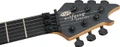 EVH Wolfgang Special Baked Maple Electric Guitar in Stealth Black - 5107703368-6.jpg