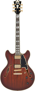 D’Angelico Deluxe DC Semi-Hollow Electric Guitar in Satin Brown Burst - DADDCSBBGS-Front.jpg